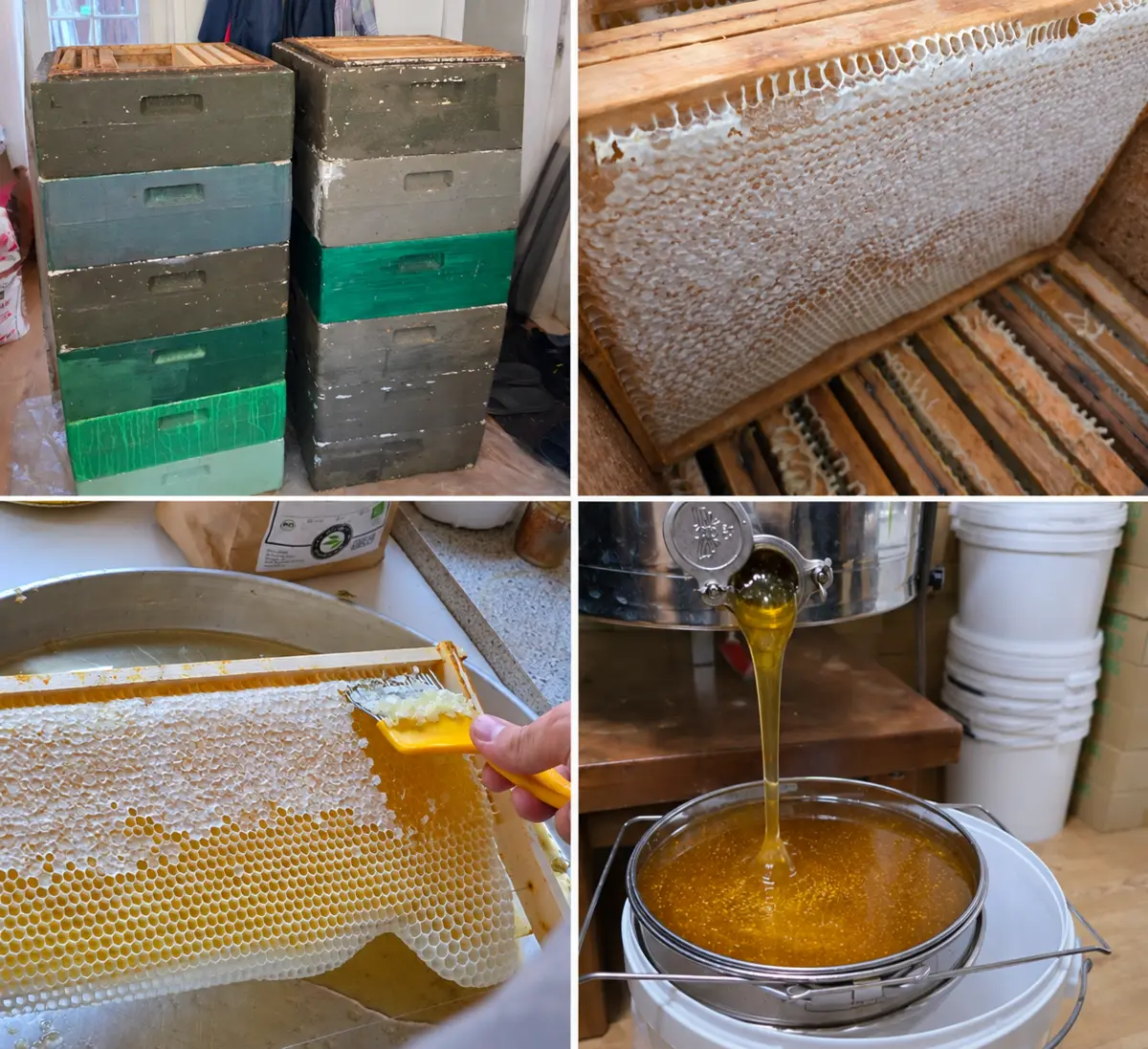 Honigernte vom Bienenstock über das Entdeckeln der Wabe bis zum Abfüllen